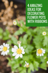4 Amazing Ideas for Decorating Flower Pots With Ribbon
