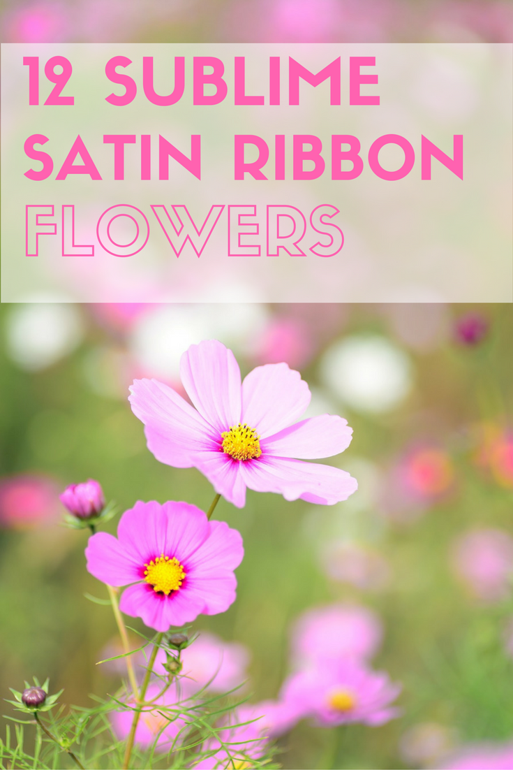 12 Sublime Satin Ribbon Flowers
