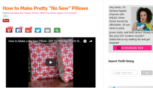"No sew" pillow