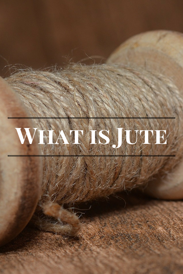 What is jute
